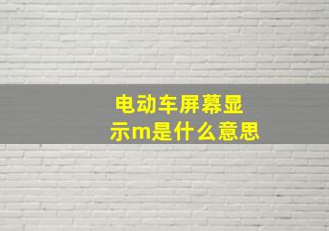 电动车屏幕显示m是什么意思