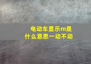 电动车显示m是什么意思一动不动