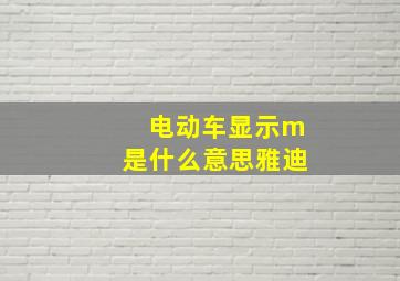 电动车显示m是什么意思雅迪