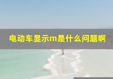 电动车显示m是什么问题啊