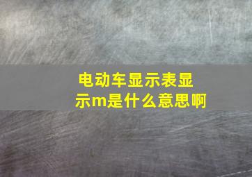 电动车显示表显示m是什么意思啊