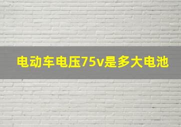 电动车电压75v是多大电池