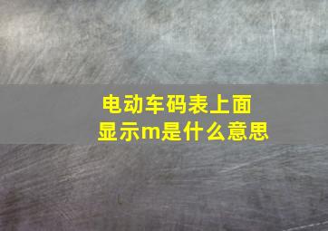 电动车码表上面显示m是什么意思