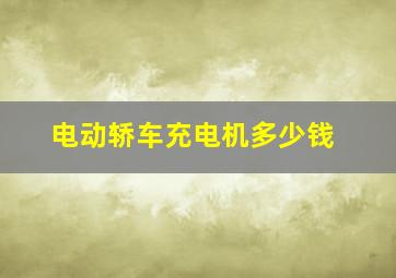 电动轿车充电机多少钱