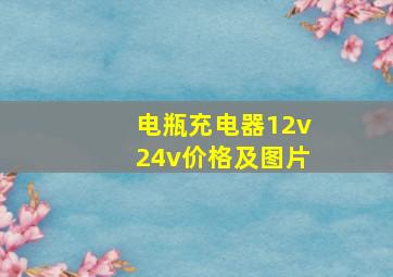 电瓶充电器12v24v价格及图片