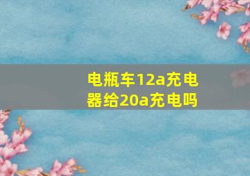 电瓶车12a充电器给20a充电吗