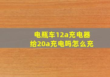 电瓶车12a充电器给20a充电吗怎么充