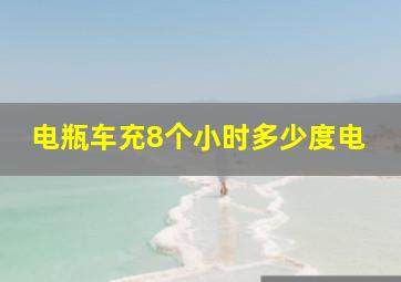 电瓶车充8个小时多少度电