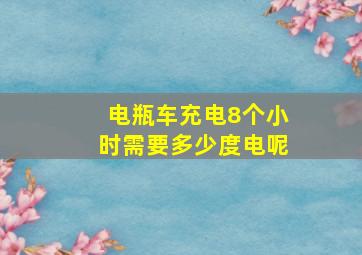 电瓶车充电8个小时需要多少度电呢