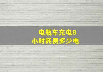 电瓶车充电8小时耗费多少电