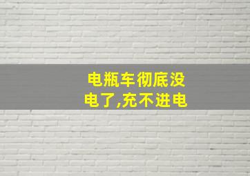 电瓶车彻底没电了,充不进电