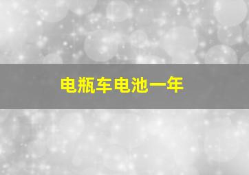 电瓶车电池一年