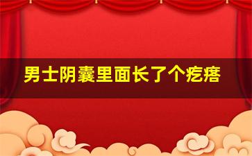 男士阴囊里面长了个疙瘩