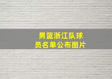 男篮浙江队球员名单公布图片