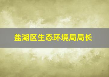 盐湖区生态环境局局长