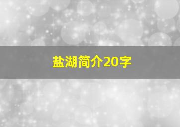 盐湖简介20字