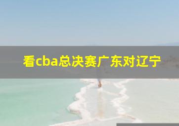 看cba总决赛广东对辽宁