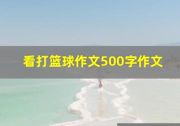 看打篮球作文500字作文