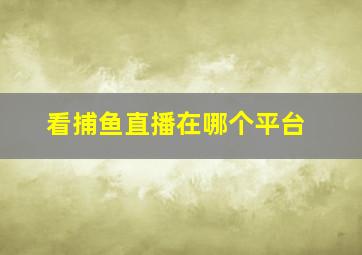 看捕鱼直播在哪个平台