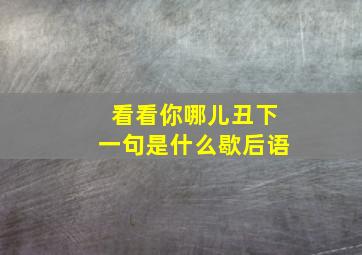 看看你哪儿丑下一句是什么歇后语