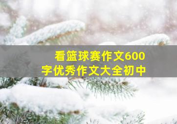 看篮球赛作文600字优秀作文大全初中