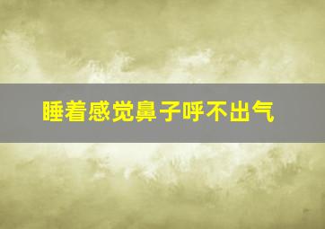 睡着感觉鼻子呼不出气