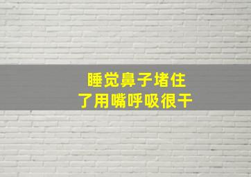 睡觉鼻子堵住了用嘴呼吸很干