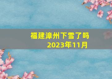 福建漳州下雪了吗2023年11月