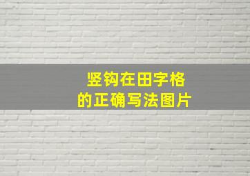 竖钩在田字格的正确写法图片