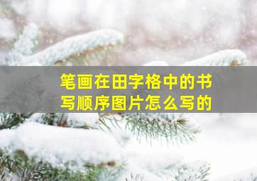 笔画在田字格中的书写顺序图片怎么写的