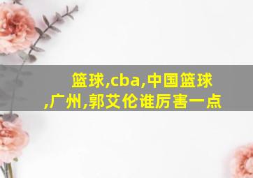 篮球,cba,中国篮球,广州,郭艾伦谁厉害一点