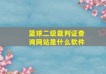 篮球二级裁判证查询网站是什么软件