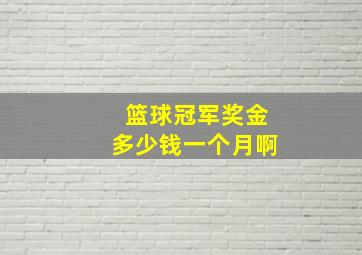 篮球冠军奖金多少钱一个月啊