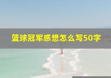 篮球冠军感想怎么写50字