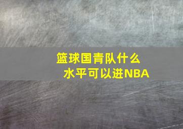 篮球国青队什么水平可以进NBA