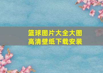 篮球图片大全大图高清壁纸下载安装