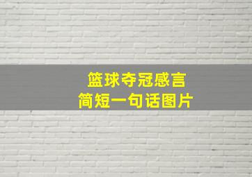 篮球夺冠感言简短一句话图片