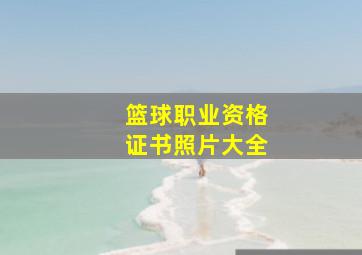 篮球职业资格证书照片大全