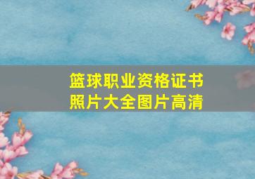 篮球职业资格证书照片大全图片高清