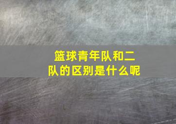 篮球青年队和二队的区别是什么呢