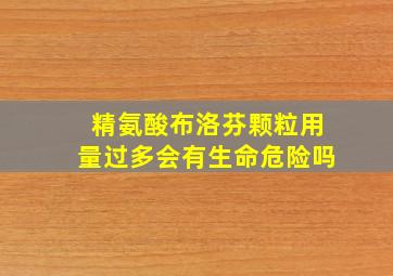 精氨酸布洛芬颗粒用量过多会有生命危险吗