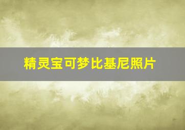 精灵宝可梦比基尼照片