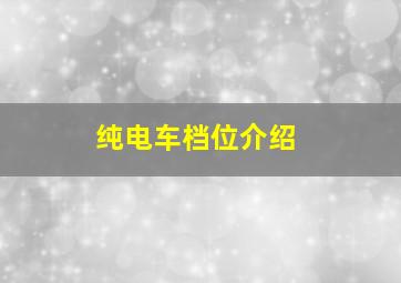 纯电车档位介绍