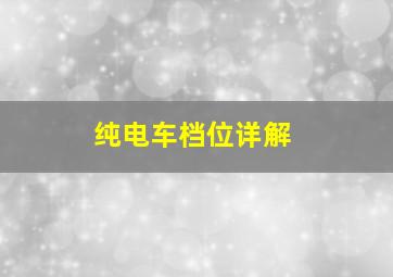 纯电车档位详解