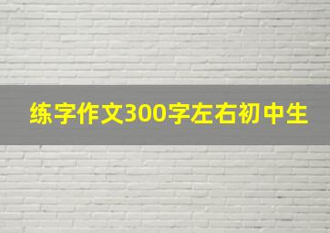 练字作文300字左右初中生