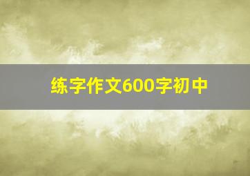 练字作文600字初中