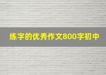 练字的优秀作文800字初中