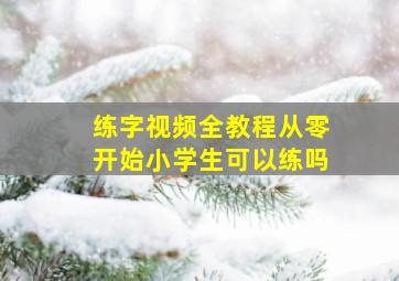 练字视频全教程从零开始小学生可以练吗