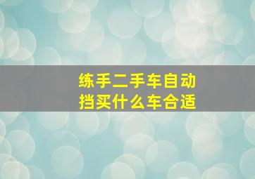 练手二手车自动挡买什么车合适