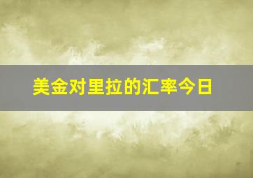 美金对里拉的汇率今日